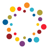 IPDN company logo
